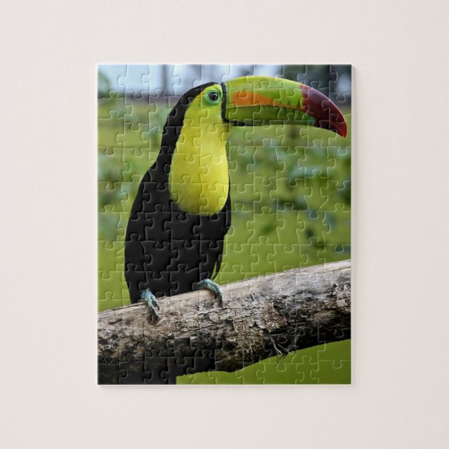 rompecabezas de rompecabezas TOUCAN (Vertical)