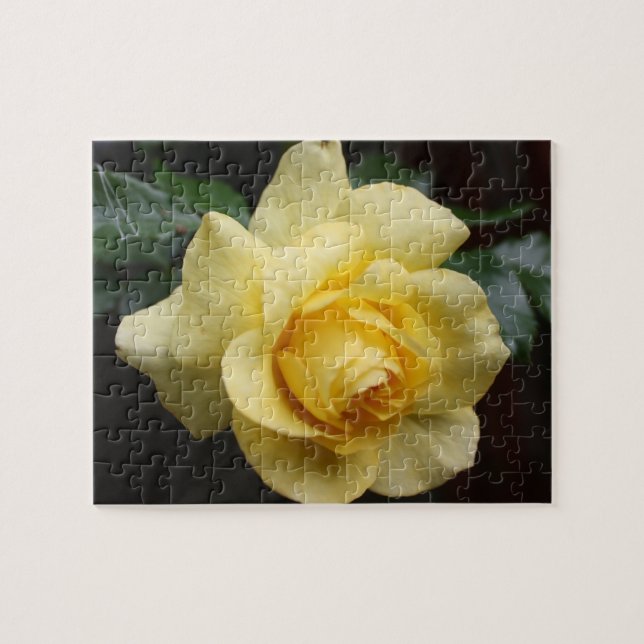 Rompecabezas de rosa amarillo (Horizontal)