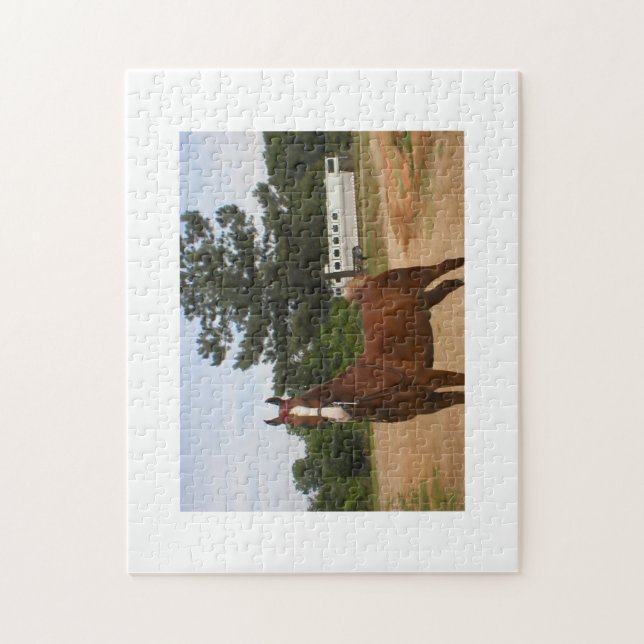 Rompecabezas de Saddlebred del americano (Vertical)