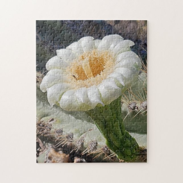 Rompecabezas de Saguaro en Flor, 11" x 14", 252 pi (Vertical)