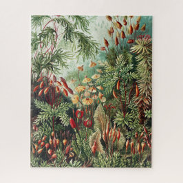 Rompecabezas de selva