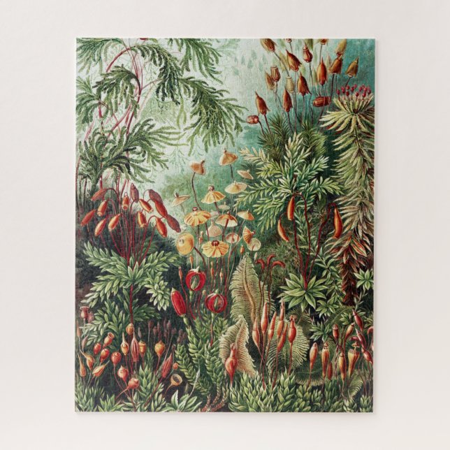 Rompecabezas de selva (Vertical)