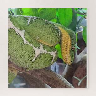 Rompecabezas de serpiente