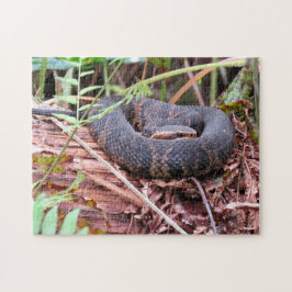 Rompecabezas de serpiente de Cottonmouth