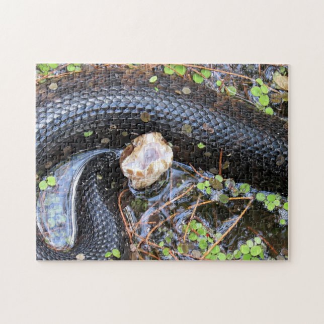 Rompecabezas de serpiente de Cottonmouth (Horizontal)