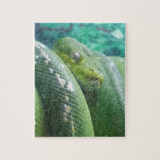 Rompecabezas de serpiente del bosque lluvioso