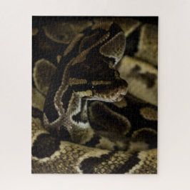 Rompecabezas de serpiente dura