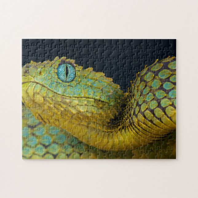Rompecabezas de serpiente - Verde hermoso (Horizontal)