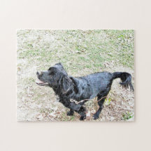 Rompecabezas de Smokey Esperando para Ir a Caminar