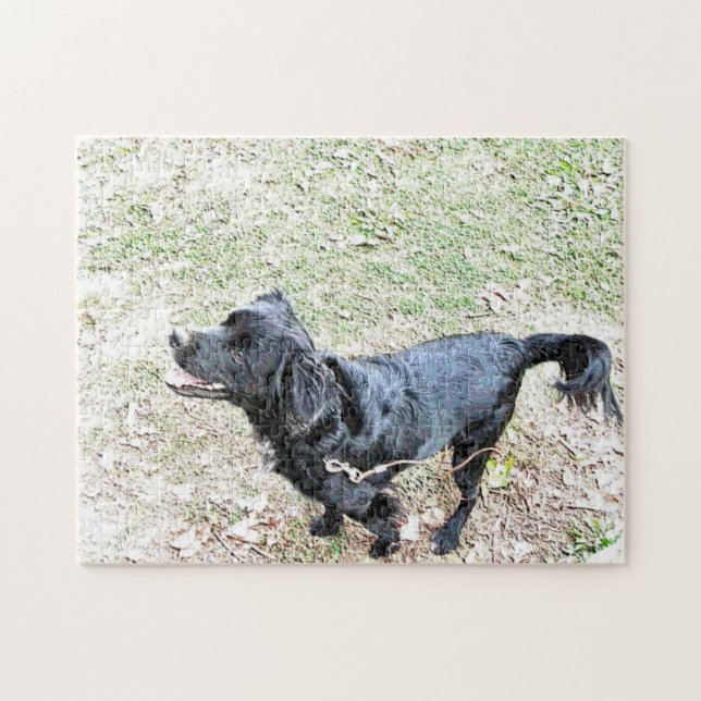 Rompecabezas de Smokey Esperando para Ir a Caminar (Horizontal)