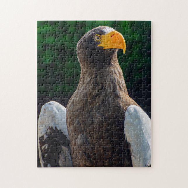 Rompecabezas de Stellar Sea Eagle Jigsaw (Vertical)