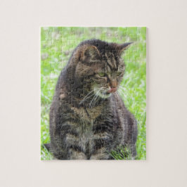 Rompecabezas de Tabby Cat Jigsaw