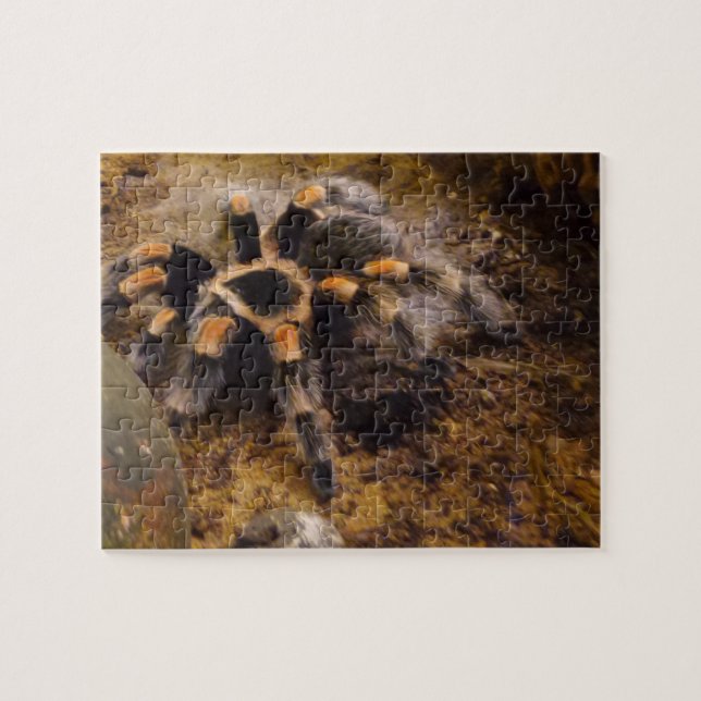 Rompecabezas de Tarantula Jigsaw (Horizontal)