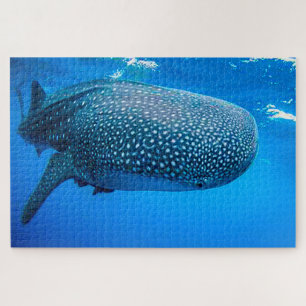 Rompecabezas de Tiburones Ballena