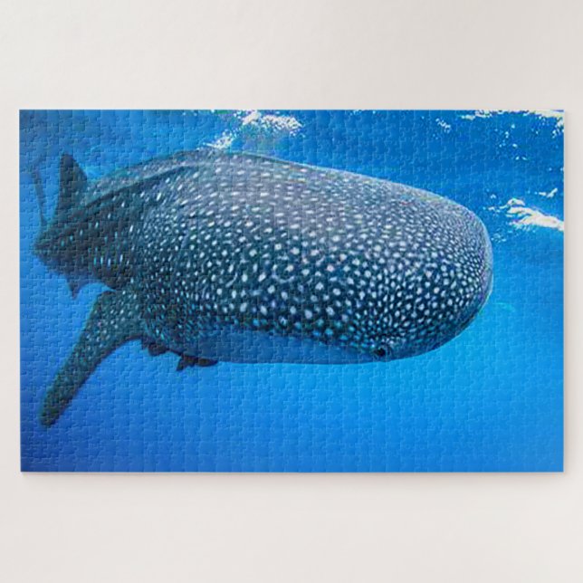 Rompecabezas de Tiburones Ballena (Horizontal)