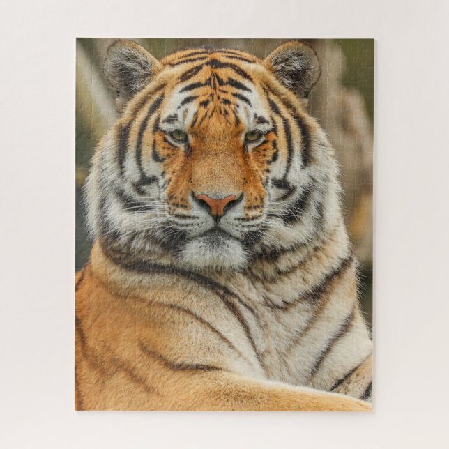ROMPECABEZAS DE TIGRE DE BENGALA (Vertical)