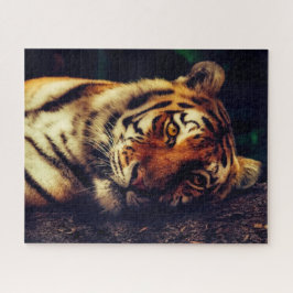 Rompecabezas de tigres
