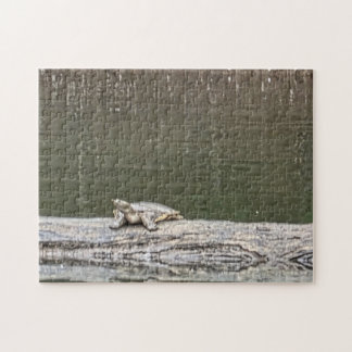 Rompecabezas de Tortuga de Estanque