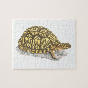 Rompecabezas de tortuga oriental