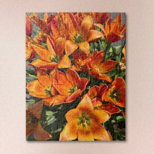 Rompecabezas de Tulipán Calypso Naranja Brillante