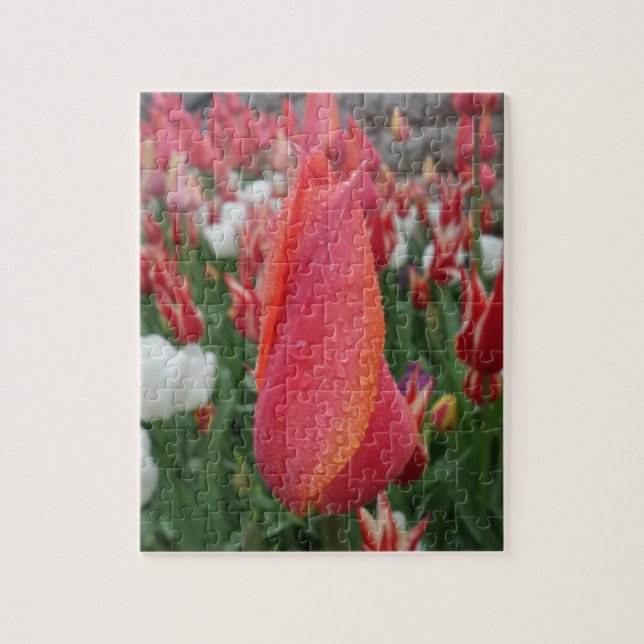 Rompecabezas de Tulipanes (Vertical)