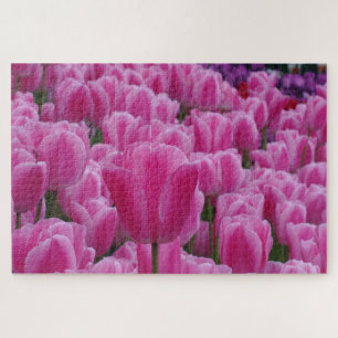 Rompecabezas de Tulipanes Rosas