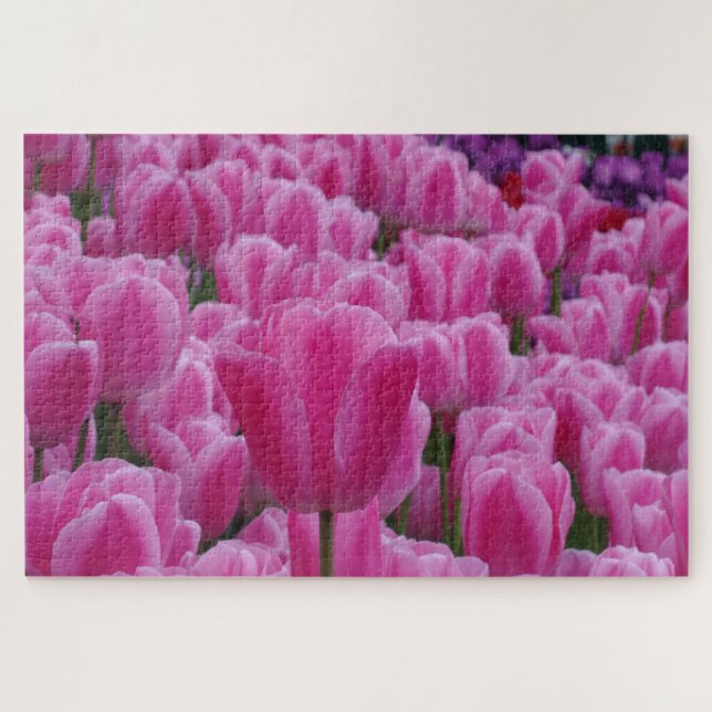 Rompecabezas de Tulipanes Rosas (Horizontal)