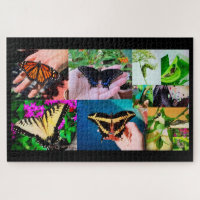 Rompecabezas de vida de mariposa