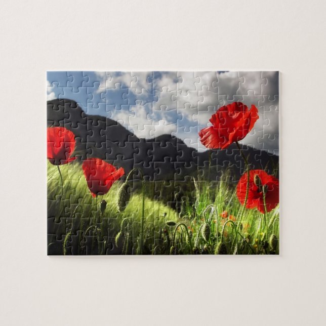 Rompecabezas de Vida Silvestre-Amapolas Rojas (Horizontal)