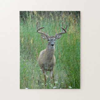 Rompecabezas de Whitetail