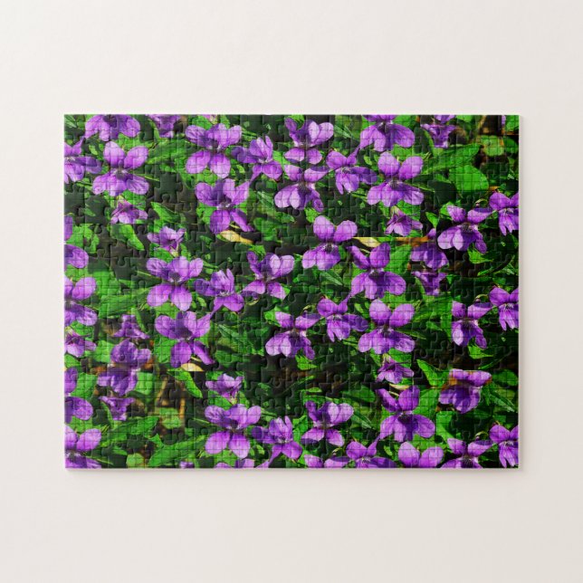 Rompecabezas de Wisconsin Violets (Horizontal)