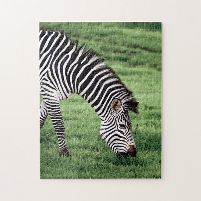 Rompecabezas de zebra Grazing Jigsaw (Vertical)