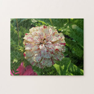 Rompecabezas de Zinnia