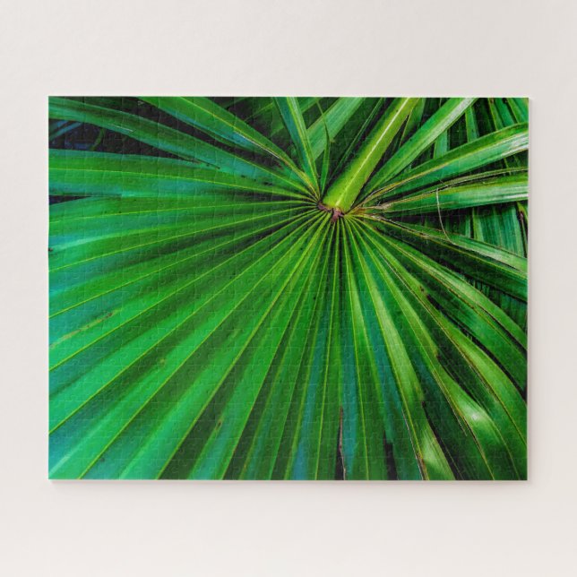 Rompecabezas del Abanico de Palmetto aserrado (Horizontal)