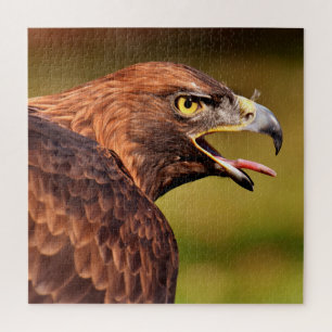 Rompecabezas del águila