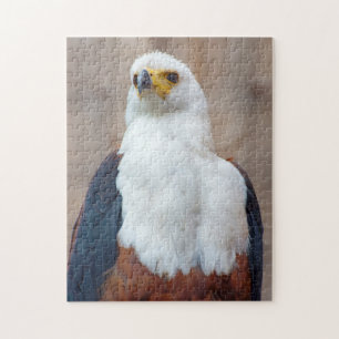 Rompecabezas del águila africana de pescado Jigsaw