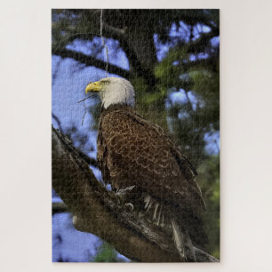 Rompecabezas del águila calva
