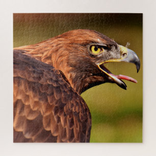 Rompecabezas del águila silvestre Jigsaw, 676 pcs