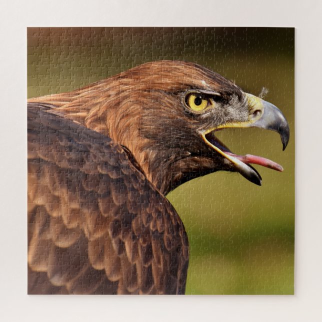 Rompecabezas del águila silvestre Jigsaw, 676 pcs (Vertical)