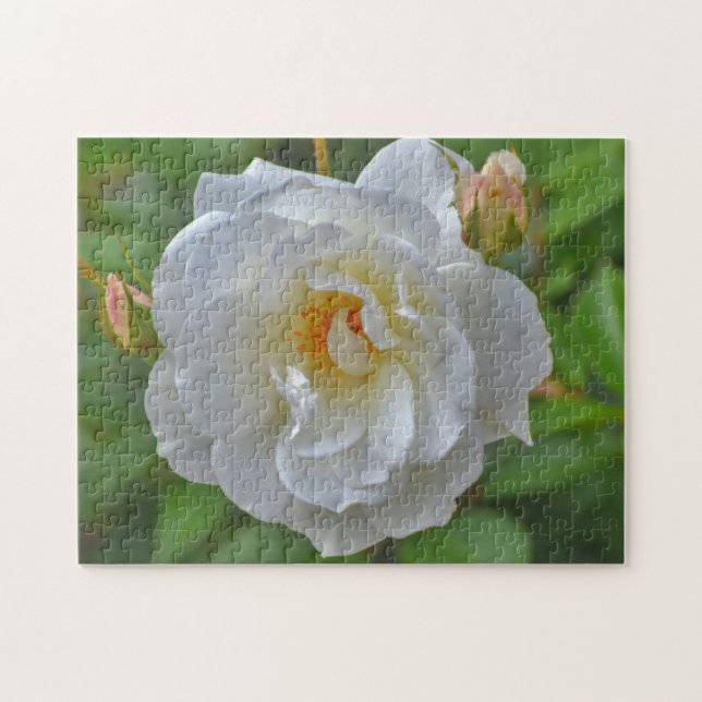 Rompecabezas del arte de la flor de rosa blanca bo (Horizontal)