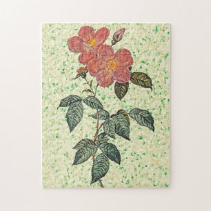 Rompecabezas del arte de los Rosas de Vintage
