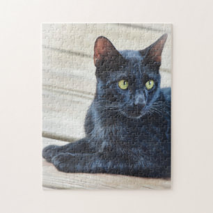 Rompecabezas del arte gato negro Bonito Kitty