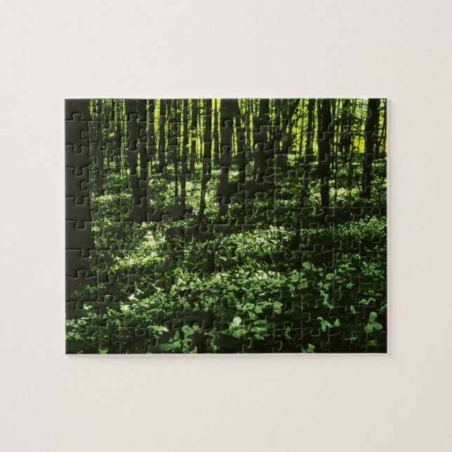 Rompecabezas del bosque del Trillium (Horizontal)