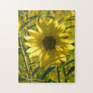 Rompecabezas del brillo del girasol