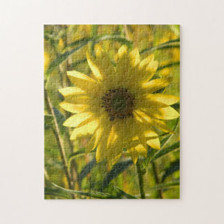 Rompecabezas del brillo del girasol