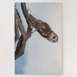 Rompecabezas del búho