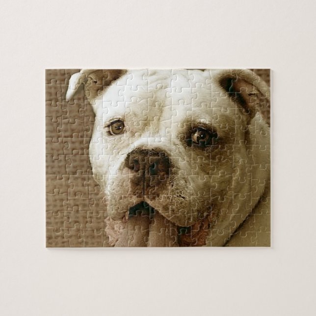 Rompecabezas del Bulldog americano Dog Jigsaw (Horizontal)