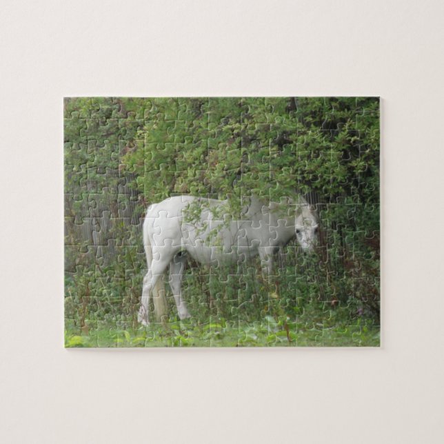 Rompecabezas del caballo blanco (Horizontal)