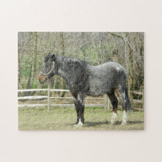 Rompecabezas del caballo de la granja gris