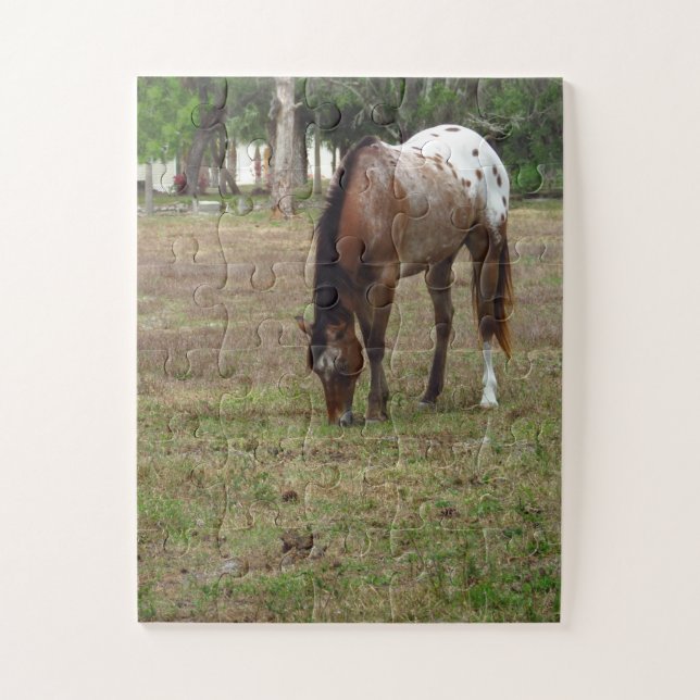 Rompecabezas del caballo de Palamino (Vertical)